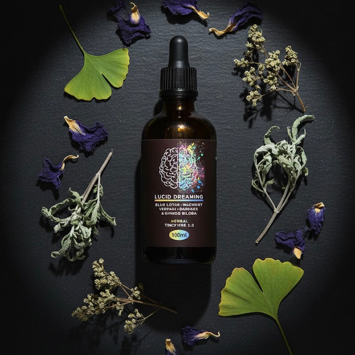 Bottle of 'Lucid Dreaming' herbal tincture surrounded by dried herbs on a dark surface