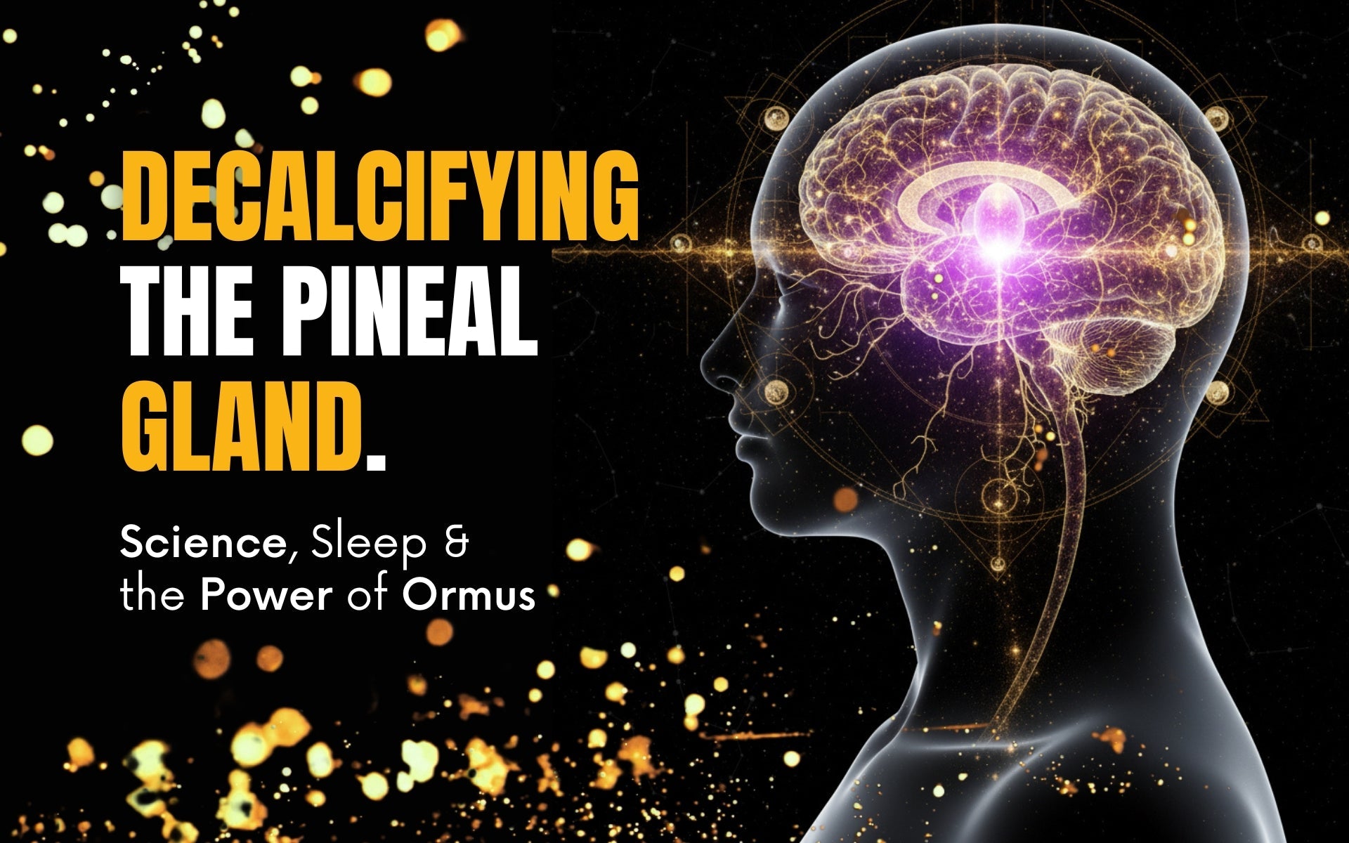 Decalcifying the Pineal Gland: Science, Sleep &amp; the Power of Ormus