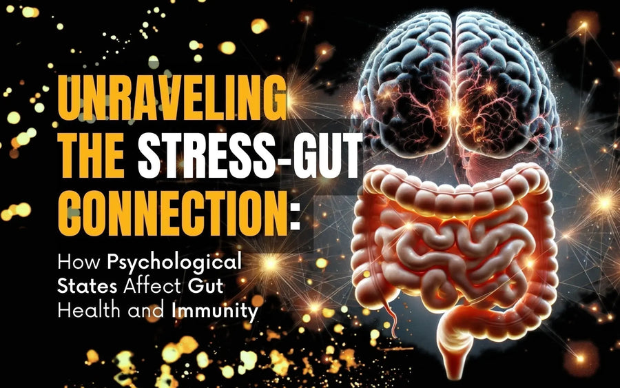 Gut brain connection stress gut health and immunity article cover