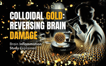 Colloidal Gold: Reversing Brain Damage study explaining brain inflammation with scientific visuals.