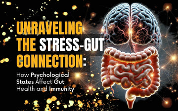The Gut Brain Connection: How stress impacts gut health and immunity visual illustration.