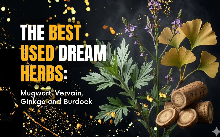 The Dream Herbs: Mugwort, Vervain, Ginkgo and Burdock