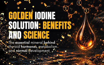 Premium editorial illustration showing iodine, thyroid function and ocean-derived minerals.