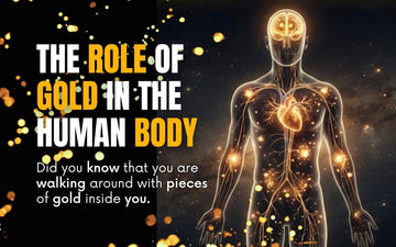Cover image for a blog post titled "THE ROLE OF GOLD IN THE HUMAN BODY". It features a transparent human figure with a glowing brain, heart, and nervous system against a cosmic space background with golden particles.