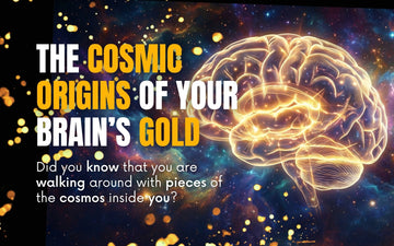 Blog cover image showing a glowing human brain against a space nebula background with the title "The Cosmic Origins of Your Brain's Gold."