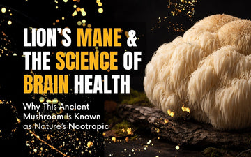Lion's Mane brain health benefits featured with mushrooms and scientific elements in background.