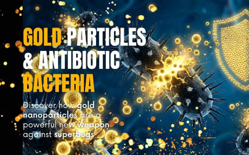 3D microscopic render showing glowing gold nanoparticles rupturing dark, spiky antibiotic-resistant bacteria, with a protective golden shield in the background.