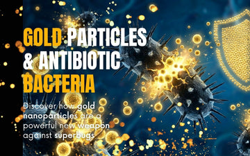 3D microscopic render showing glowing gold nanoparticles rupturing dark, spiky antibiotic-resistant bacteria, with a protective golden shield in the background.