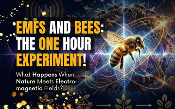 EMFs and Bees infographic illustrating the impact of electromagnetic fields on bees and nature.