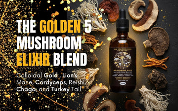 Nootropic mushroom blend showcasing The Golden 5 Mushroom Elixir with various mushrooms and herbal ingredients.