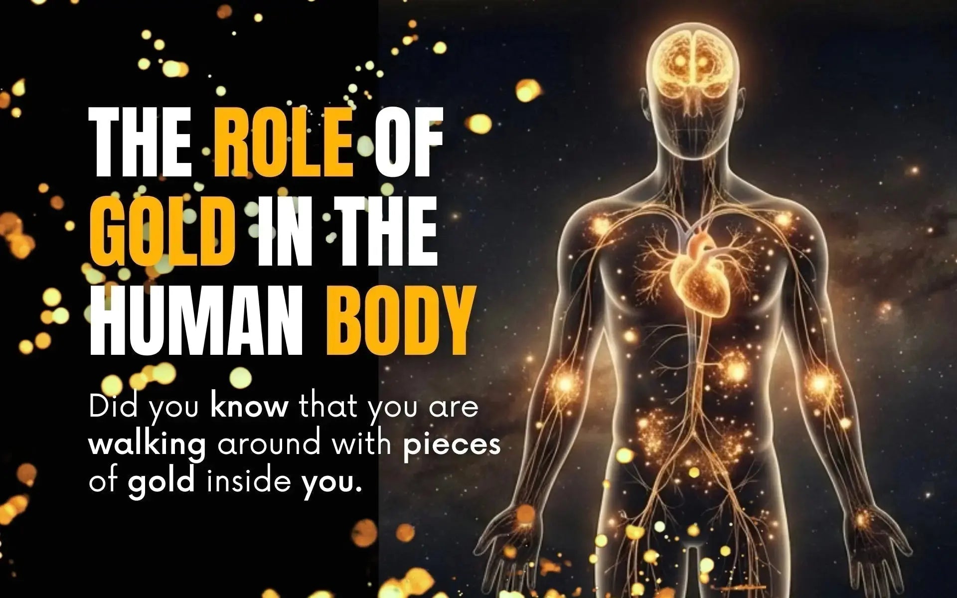 Gold in the human body and human biology