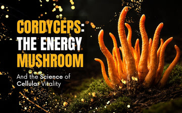 Cordyceps energy mushroom benefits highlighted in an artistic photo featuring vibrant cordyceps mushrooms on a dark background.