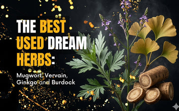 The Dream Herbs: Mugwort, Vervain, Ginkgo and Burdock with vibrant visuals.
