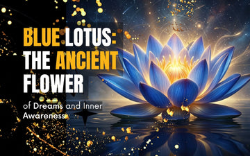 Blue Lotus flower in serene waters, symbolizing dreams and inner awareness.