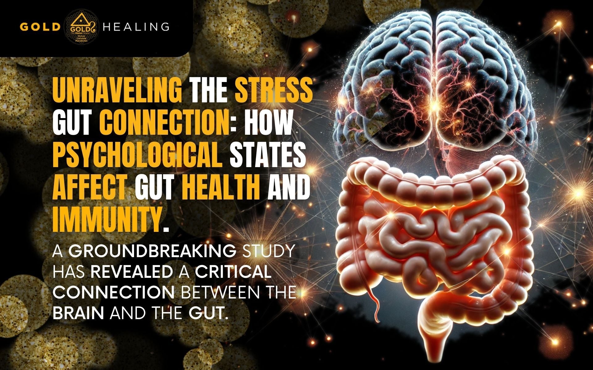 Unraveling the Stress-Gut Connection: How Psychological States Affect Gut Health and Immunity