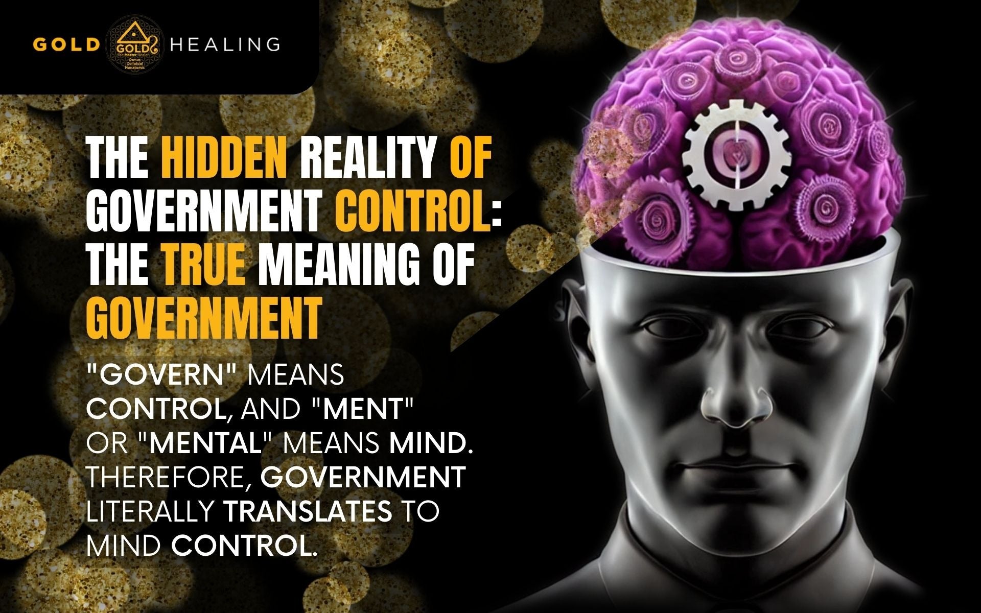 The Hidden Reality of Government Control: The True Meaning of Government