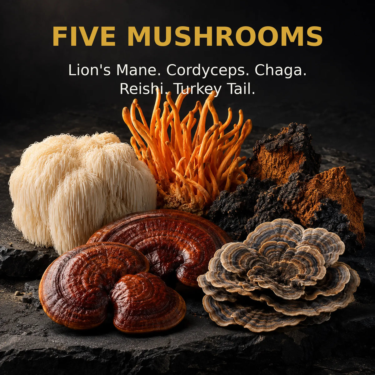 Lion's Mane, Cordyceps, Chaga, Reishi and Turkey Tail mushrooms used in Nootropic Gold.