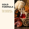 Five mushroom blend beside ruby red 24K colloidal gold used in Nootropic Gold.