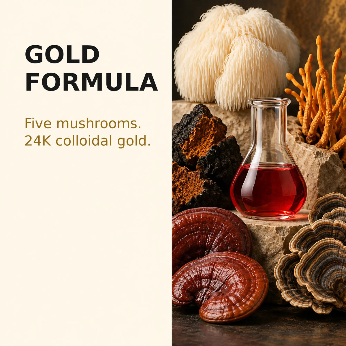 Five mushroom blend beside ruby red 24K colloidal gold used in Nootropic Gold.