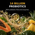 Refined illustration representing probiotic cultures, prebiotic fibre and digestive enzymes in ORMUS SuperGreens.