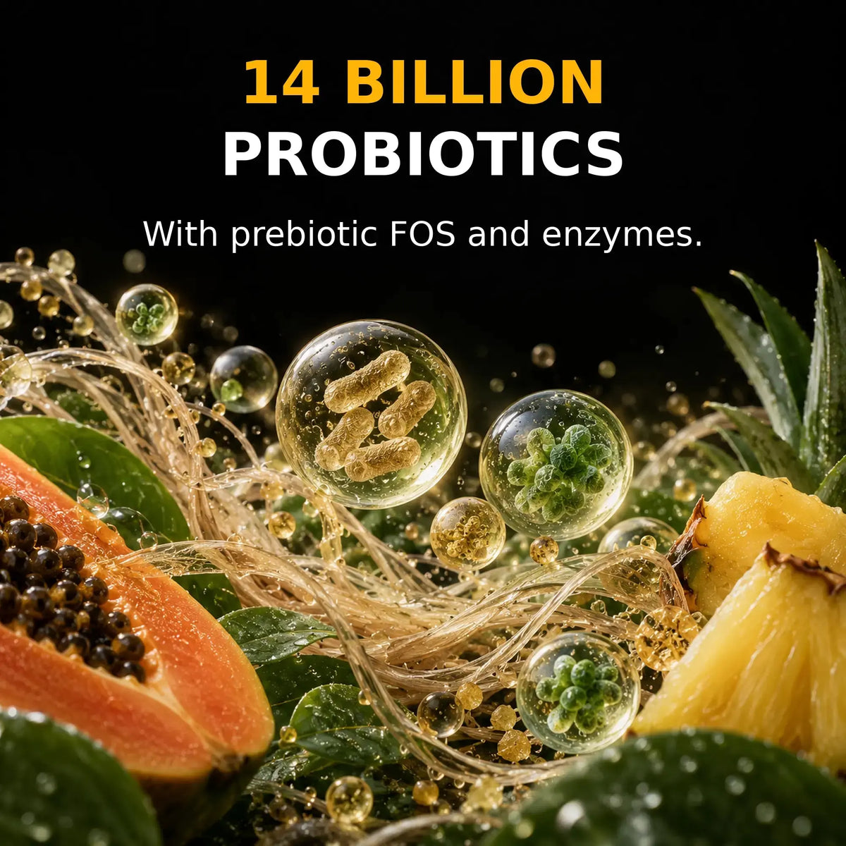 Refined illustration representing probiotic cultures, prebiotic fibre and digestive enzymes in ORMUS SuperGreens.