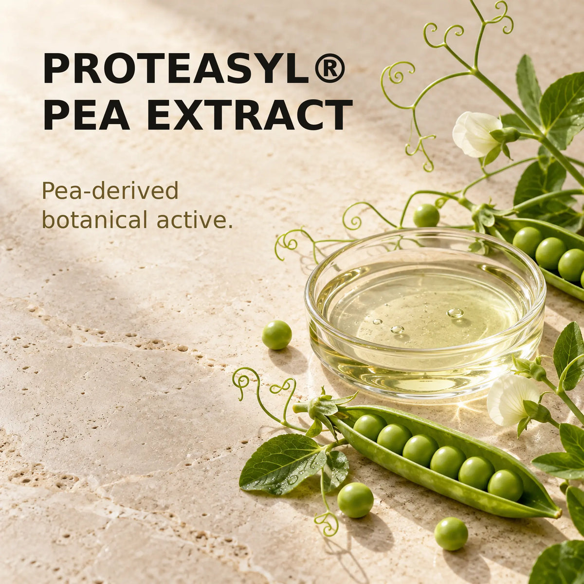 Proteasyl pea extract botanical active in Gold Healing face cream