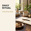 Notebook and warm drink representing a consistent Nootropic Gold daily mushroom routine.