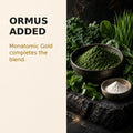 Green SuperGreens powder with a separate white mineral powder accent illustrating Monatomic Gold added to the blend.