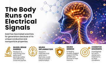     Electrical signals and colloidal gold nanoparticle infographic focused on neuroscience and cellular communication
