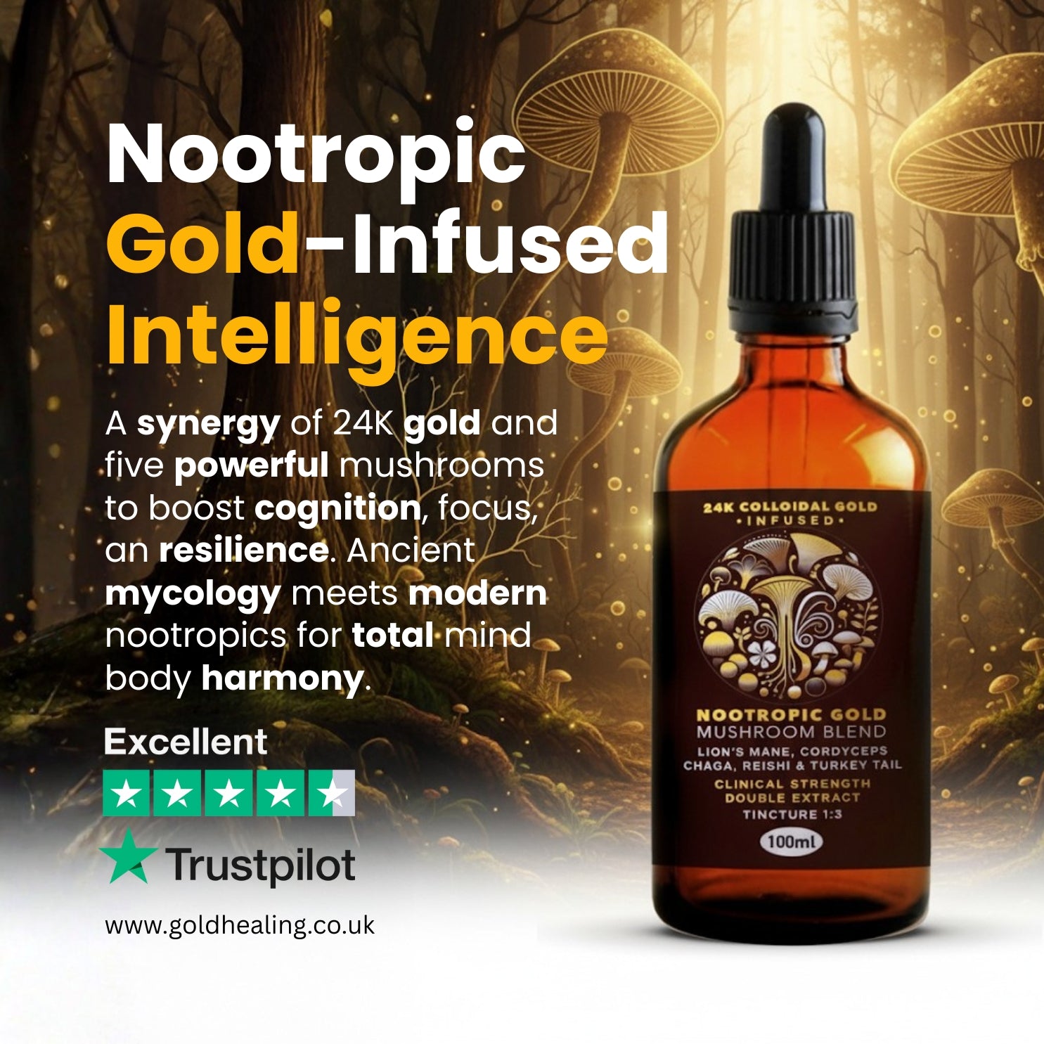 Bottle of 24K Colloidal Gold + 5 Mushroom Nootropic Tincture Blend with decorative elements on a dark background.