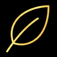 Gold leaf icon representing botanical skincare ingredients