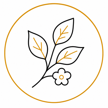 Gold skincare botanical ingredients icon representing natural skincare ingredients