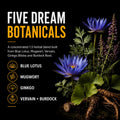 Five botanicals used in Gold Healing Lucid Dreaming Tincture including Blue Lotus, Mugwort, Vervain, Ginkgo and Burdock