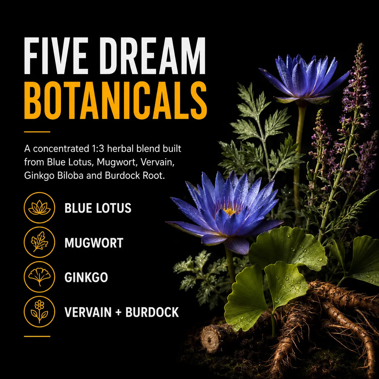 Five botanicals used in Gold Healing Lucid Dreaming Tincture including Blue Lotus, Mugwort, Vervain, Ginkgo and Burdock