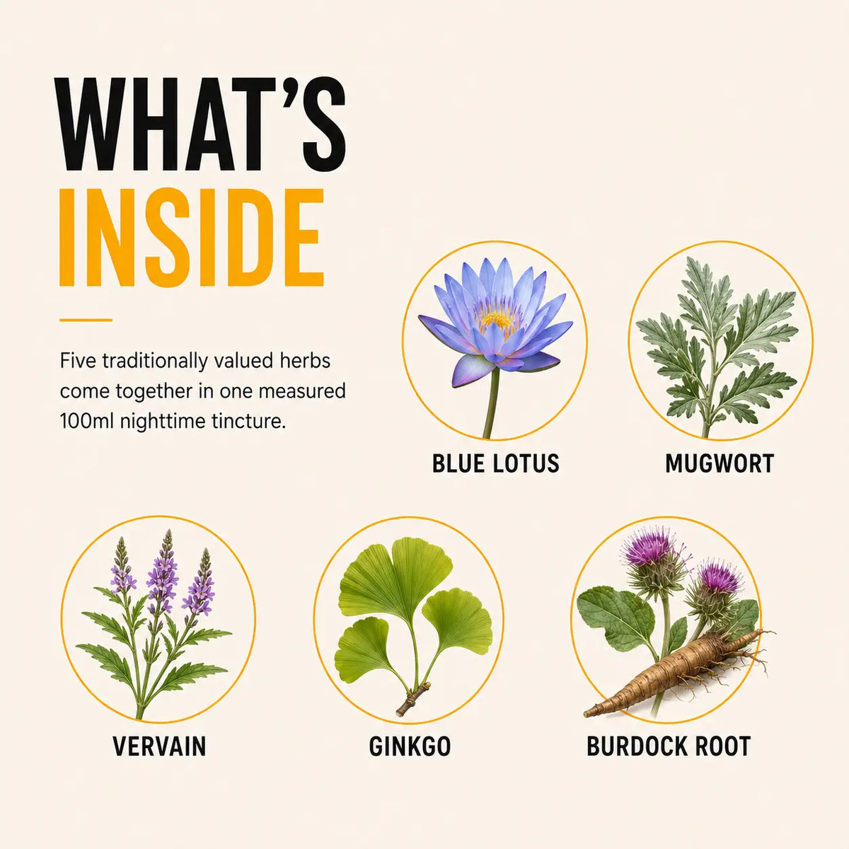 Lucid Dreaming Tincture ingredients showing Blue Lotus, Mugwort, Vervain, Ginkgo Biloba and Burdock Root