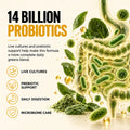 Ormus SuperGreens digestive blend with 14 billion probiotics, prebiotic support and live cultures
