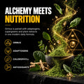 Ormus SuperGreens combining Monatomic Gold, supergreens, botanicals, adaptogens and plant extracts