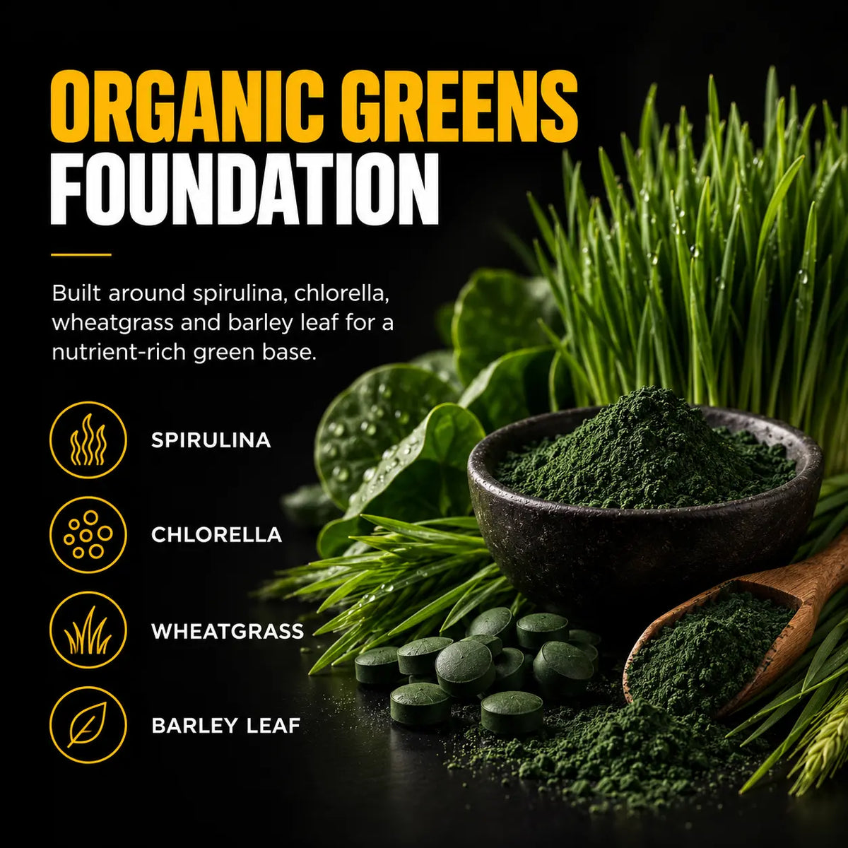 SuperGreens ingredients including spirulina, chlorella, wheatgrass and barley leaf