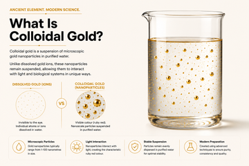 What is colloidal gold infographic explaining gold nanoparticles suspended in purified water compared with dissolved gold ions